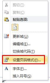 Word2010如何从指定页设置页码