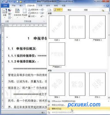 word2010添加和删除水印