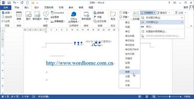 Word2013