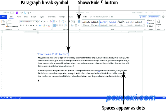 Word 2019段落标记